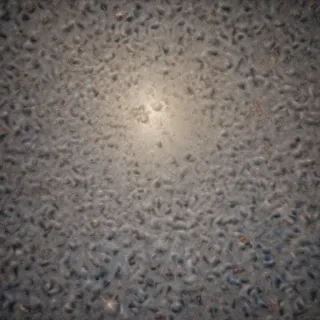 silly background