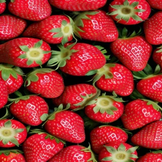 strawberry background