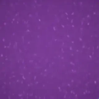 purple screen wallpaper