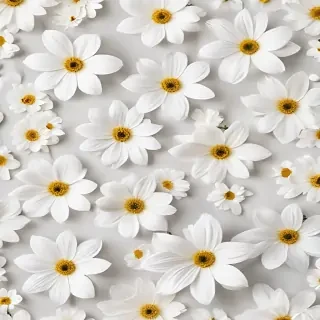 flower background white