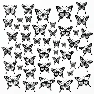butterflies drawings