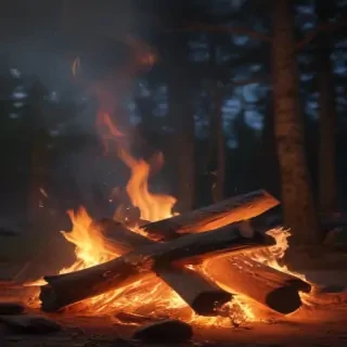 camp fire png