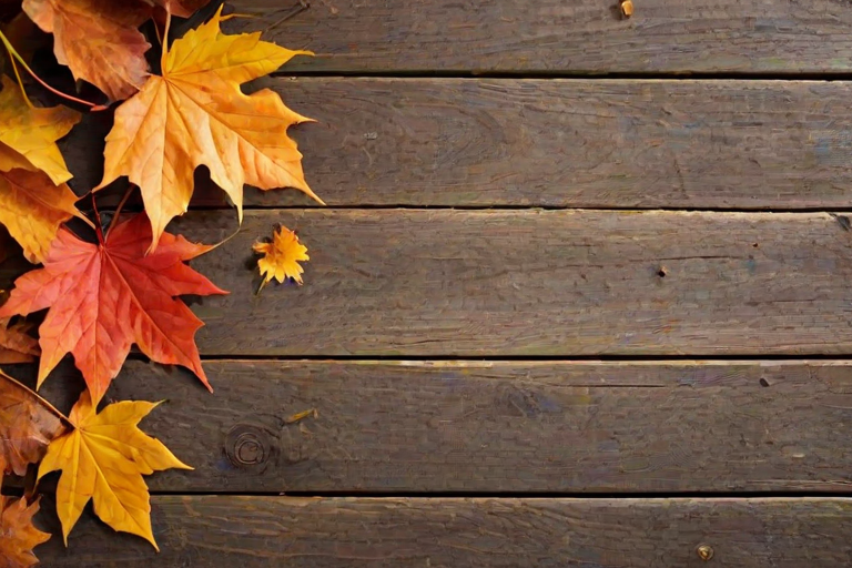 autumn background iphone
