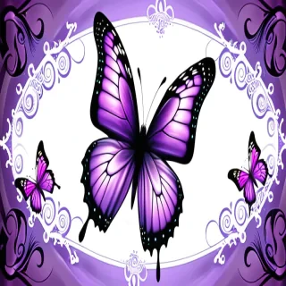purple butterfly images