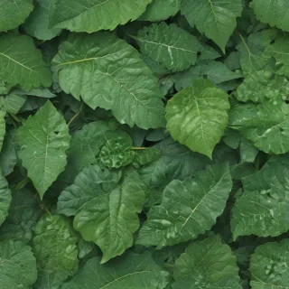 green leaf design