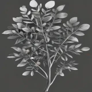 eucalyptus clipart black and white