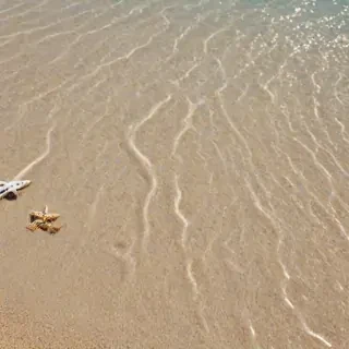 beach transparent