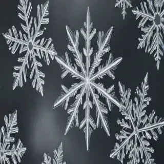 snowflake transparent