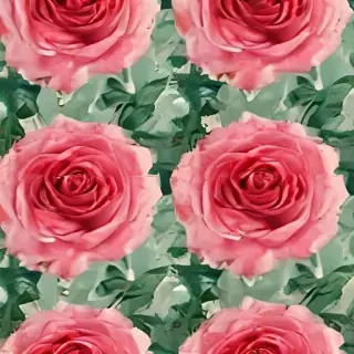 background roses wallpaper