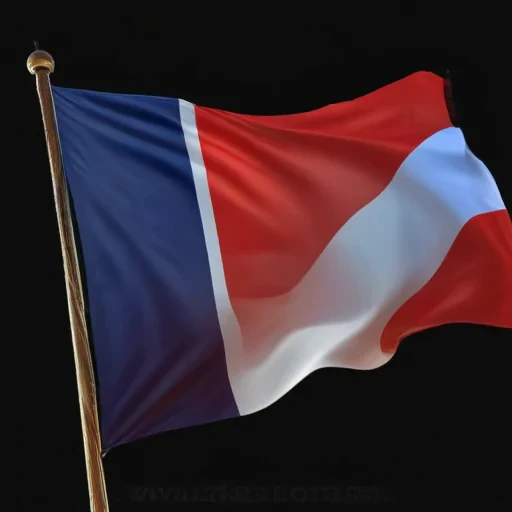 french flag png