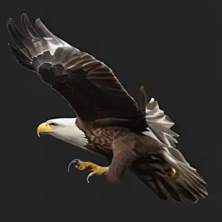 eagle fly png