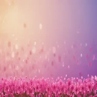 background lovely