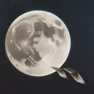 moon frawing