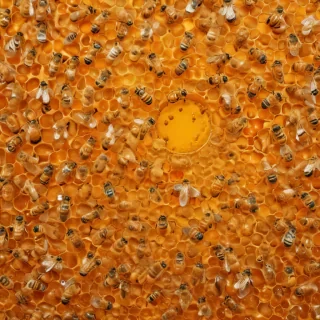 honey background