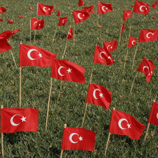 turkey flag