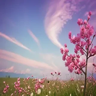 background lovely
