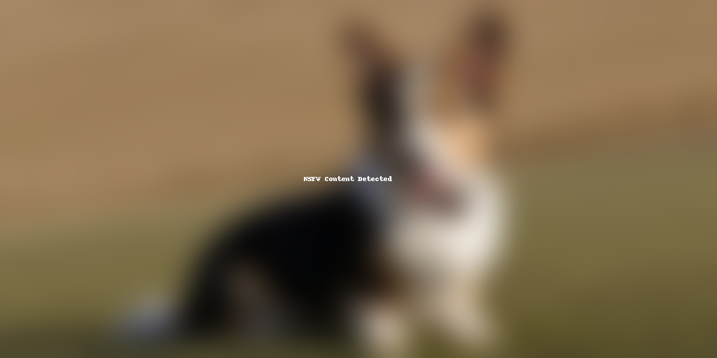 cardigan welsh corgi