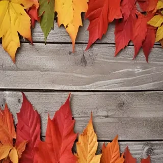 iphone backgrounds fall