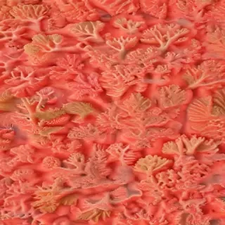 coral color