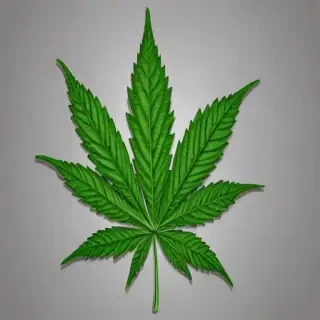 pot leaf png