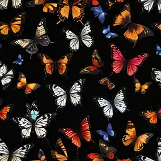 butterflies in black background