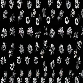 black background wallpaper aesthetic