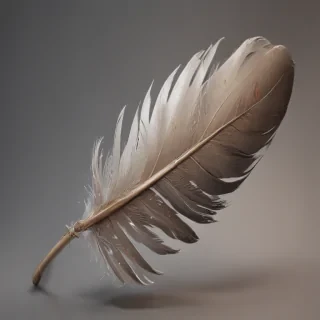 feather png