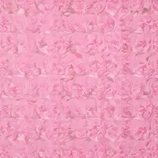 pink wall paper
