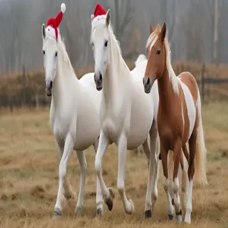 pictures of christmas horses