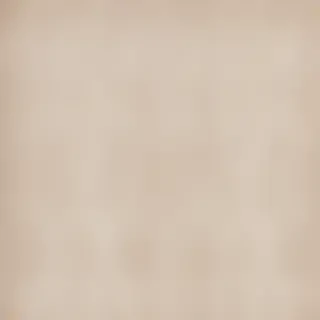 canvas texture overlay