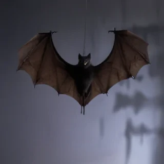 halloween bats images