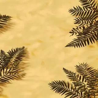 aesthetic yellow bg