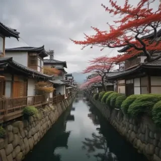 freeuse japan