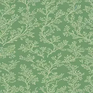 sage green wallpaper iphone