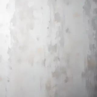 white gray background