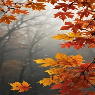 fall png