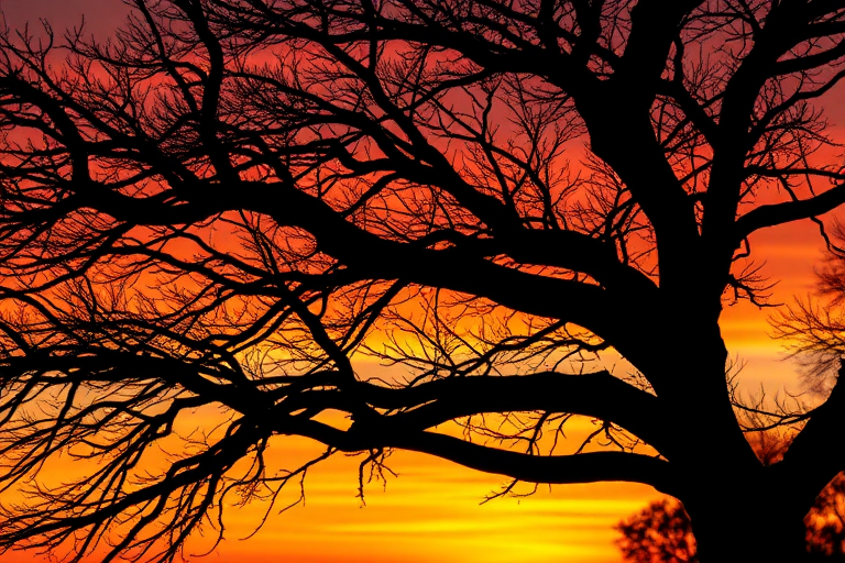 Capture a high-resolution image of a black silhouette of a tree with intricate branches against a vivid sunset backdrop, using a Canon EOS R5, 50mm lens, f/1.8 aperture, ISO 100, and a low-angle view for dramatic effect.