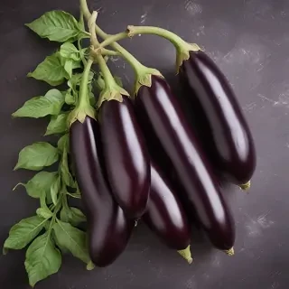 new eggplant friday
