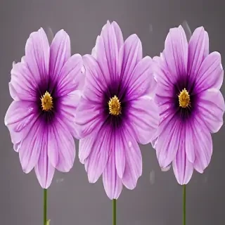 purple flowers transparent background