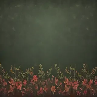 border bg