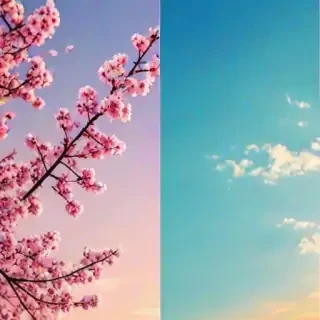 pretty backgrounds for phones