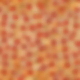 pizza slice png