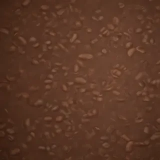 cute brown wallpaper