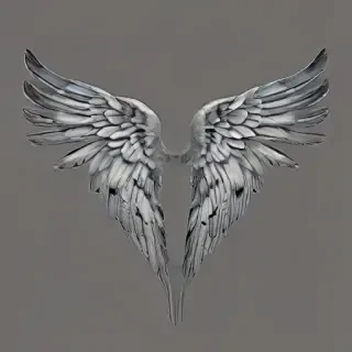angle wings png