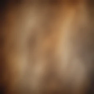 canvas texture overlay