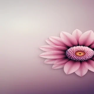 flower computer wallpaper