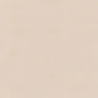 neutral aesthetic wallpaper