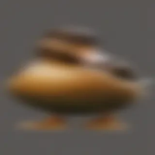 duck png
