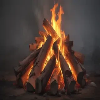 camp fire png