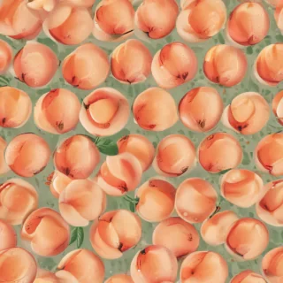 peach color background